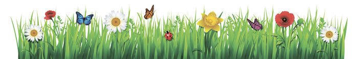 Green-Spring-Banner.jpg